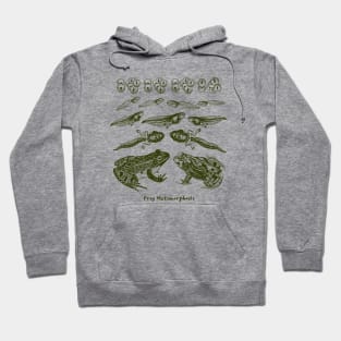 Frog Metamorphosis, From Tadpole to Frog Hoodie